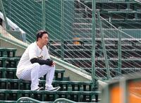 スタンドの椅子に腰かけて練習を見守る藤川監督（撮影・立川洋一郎）
