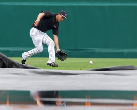 外野でノックを受け打球を追う立石（撮影・立川洋一郎）