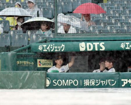 試合開始が遅れ、ベンチからグラウンドを見つめる立石（撮影・田中太一）