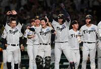 ９回、サヨナラ弾を放った森下を歓喜で出迎える坂本らナイン（撮影・田中太一）