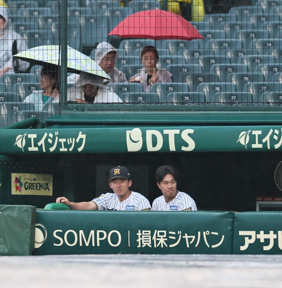 雨のため試合が遅れ、ベンチからグラウンドを見つめる立石（左）と岡城（撮影・田中太一）
