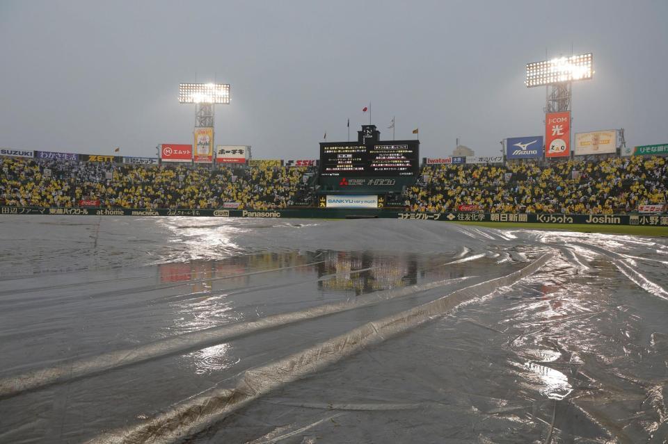 試合中止となった阪神対中日＝甲子園（撮影・西田忠信）