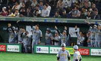 ４回、立石の左前適時打で喜ぶベンチ（撮影・金田祐二）