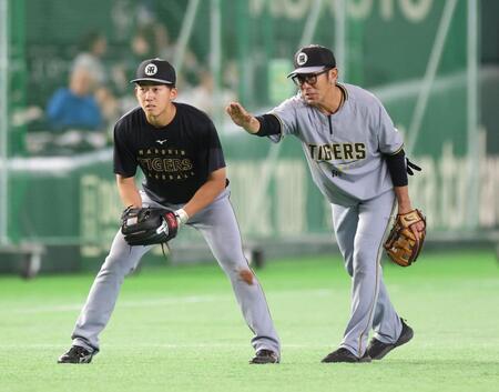 デイリースポーツ 主要ニュース