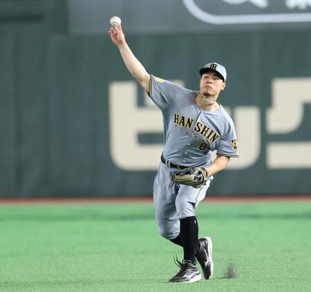 試合前、右翼の位置でシートノックを受ける佐藤輝（撮影・伊藤笙子）