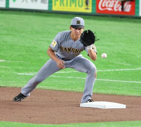 シートノックで三塁を守る立石（撮影・金田祐二）