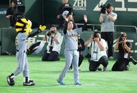 スタンドの声援に応える村上（撮影・金田祐二）
