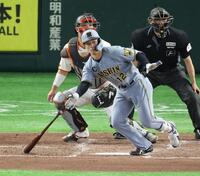 ５回、左前打を放つ坂本（撮影・金田祐二）
