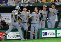 ５回、プロ初本塁打となる右越え２ランを放った立石（左端）を迎える（左から）佐藤輝、大山、熊谷、森下（撮影・伊藤笙子）