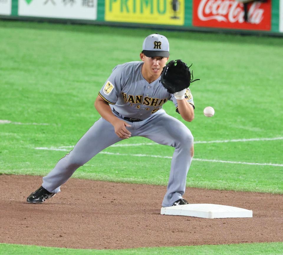 シートノックで三塁を守る立石（撮影・金田祐二）