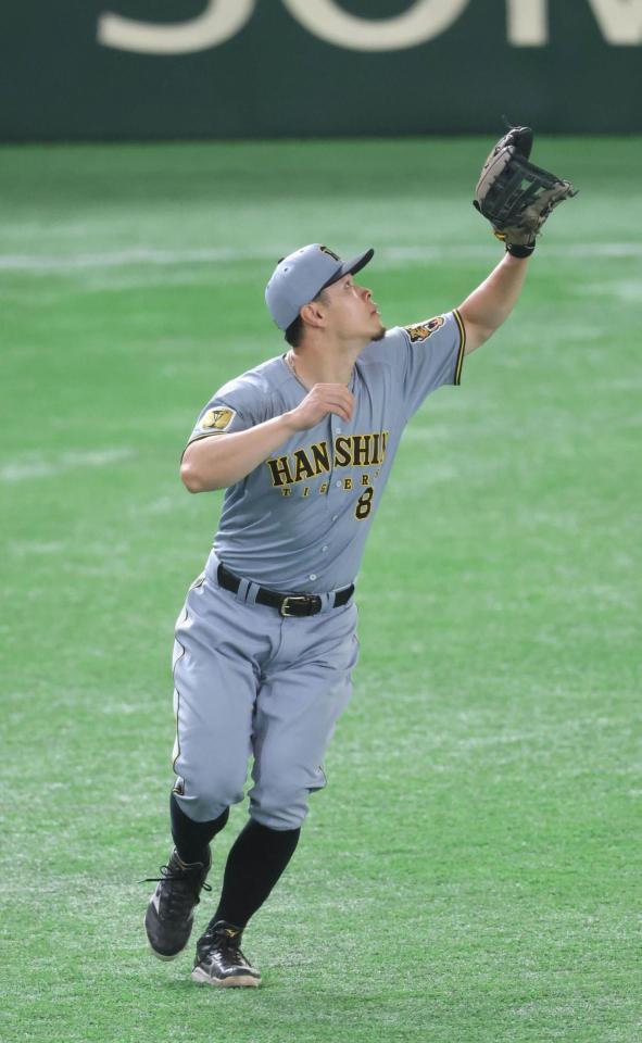 シートノックでライトに入る佐藤輝（撮影・金田祐二）