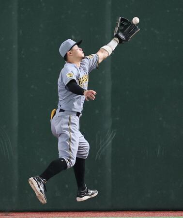５回、浅野の打球を好捕する佐藤輝（撮影・田中太一）
