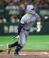 ７回、右へ適時打を放つ佐藤輝（撮影・伊藤笙子）