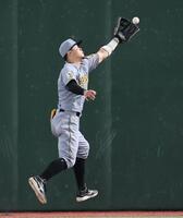 ５回、浅野の打球を好捕する佐藤輝（撮影・田中太一）