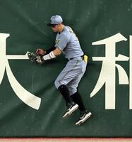 ５回、浅野の打球を捕りラバーにぶつかる佐藤輝（撮影・田中太一）