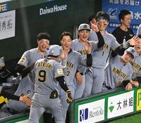 ５回、プロ初本塁打を放った立石（９番）を迎える（左から）佐藤輝、大山、熊谷、森下（撮影・堀内翔）