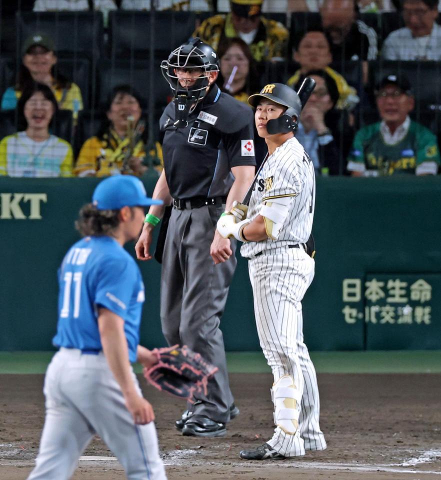 ８回、見逃し三振に倒れる立石（撮影・立川洋一郎）