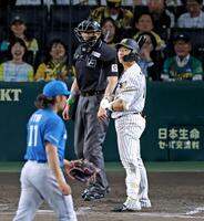 　８回、伊藤（手前）の前に見逃し三振に倒れる立石（撮影・立川洋一郎）