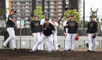 ノックを受ける桐敷（左から２人目）＝撮影・中田匡峻