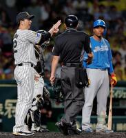 ５回、坂本の送球がエドポロ・ケイン（右）に当たったことに対して審判に確認する藤川監督（撮影・西田忠信）