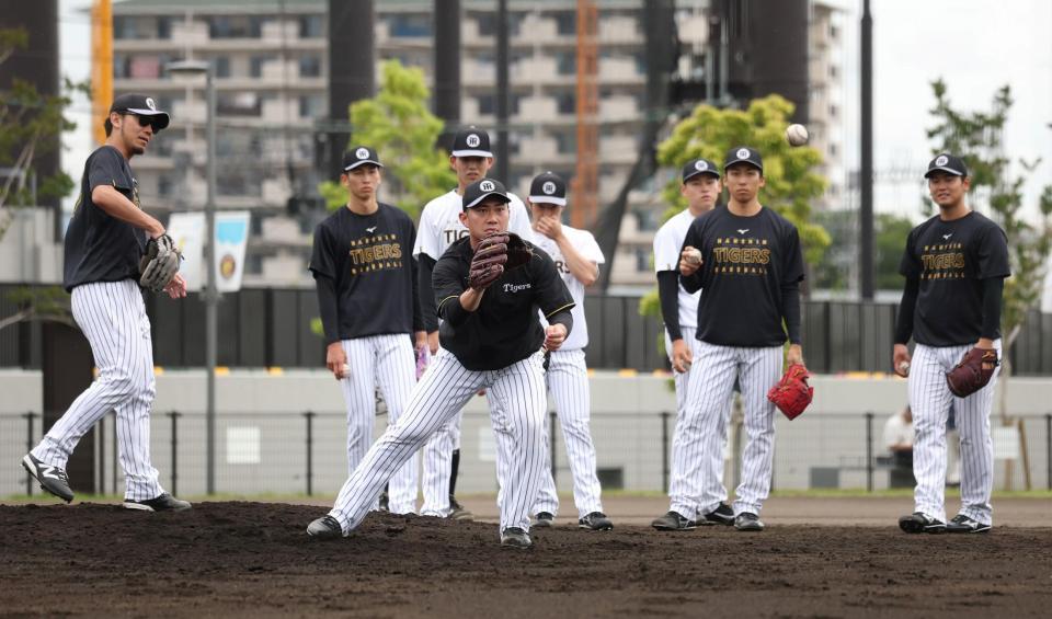 ノックを受ける桐敷（左から２人目）＝撮影・中田匡峻