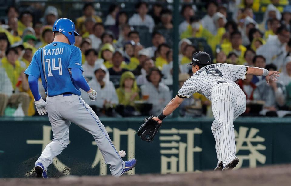 ５回、立石が坂本からの送球をとれず加藤貴（左）の生還を許す（撮影・西田忠信）