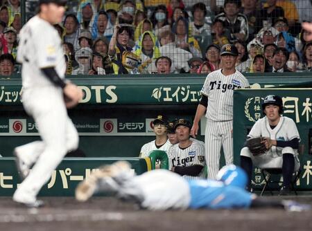 ９回、細川にスクイズを決められ、ベンチから生還を見つめる藤川監督（撮影・田中太一）