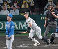 ９回、右翼スタンドへソロを放つ佐藤輝（撮影・立川洋一郎）