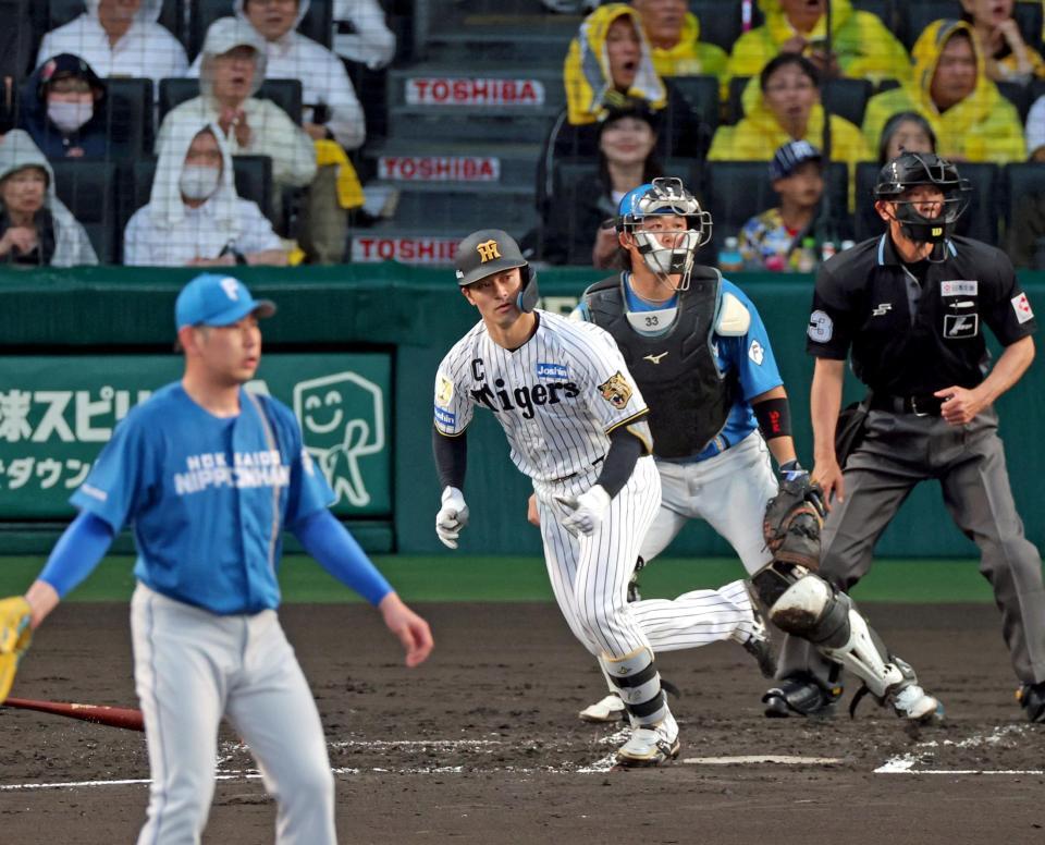 ２回、左前へ先制適時打を放つ坂本（撮影・立川洋一郎）
