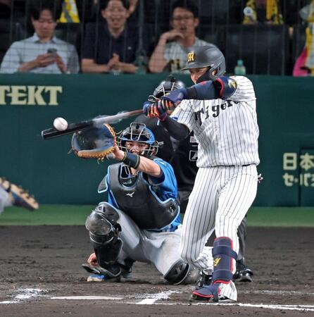７回、右前打を放つ大山（撮影・立川洋一郎）