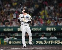 ９回、三振に倒れ最後の打者となった立石（撮影・田中太一）