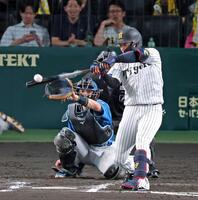 ７回、右前打を放つ大山（撮影・立川洋一郎）