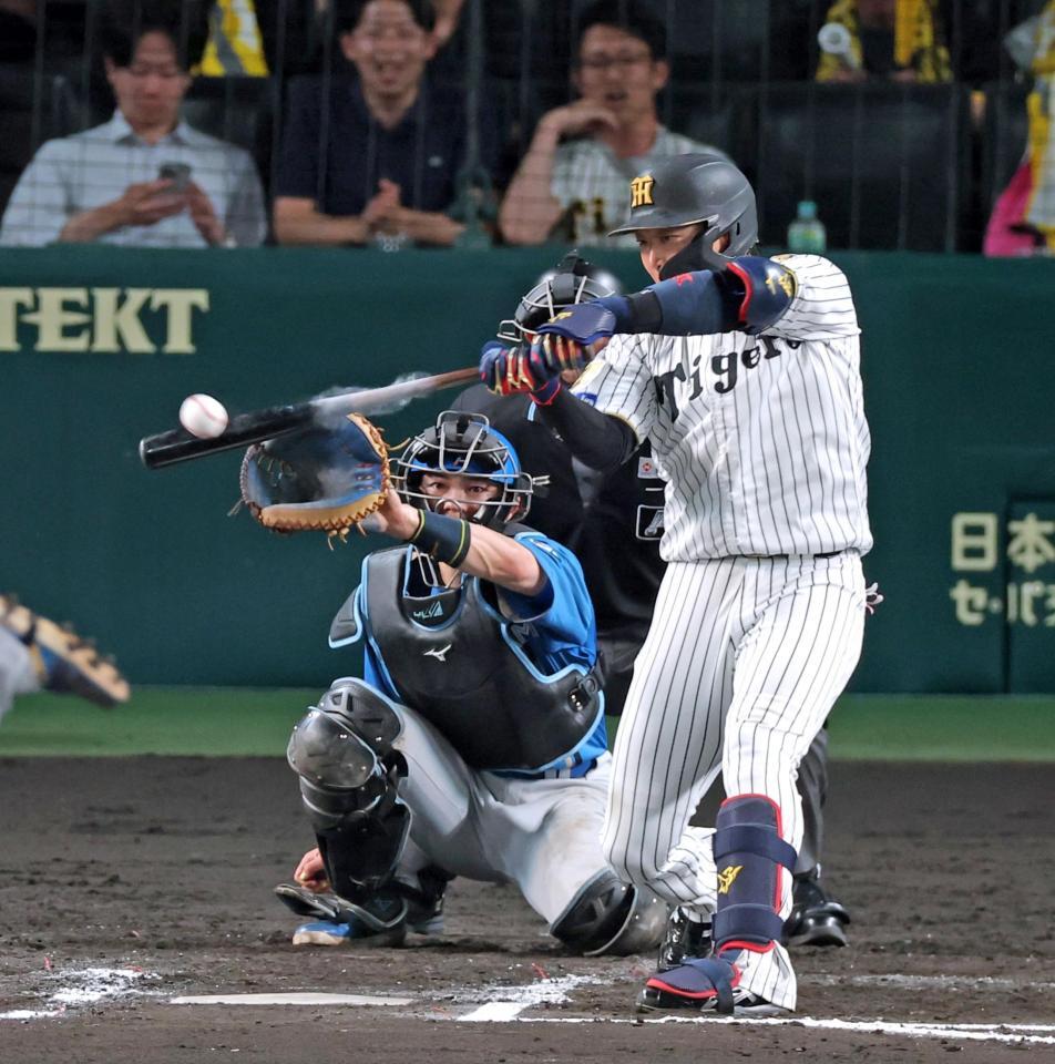 ７回、右前打を放つ大山（撮影・立川洋一郎）