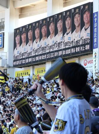 スタメン発表に沸くレフトスタンドの阪神ファン（撮影・伊藤笙子）