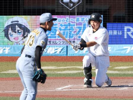 ８回、岩崎（手前）の前に空振り三振に倒れる安田（撮影・伊藤笙子）
