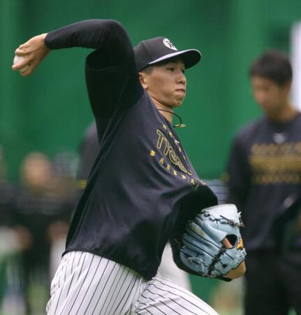 キャッチボールをする今朝丸（撮影・坂部計介）