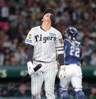 ７回、空振り三振に倒れ天を仰ぐ立石（撮影・西田忠信）