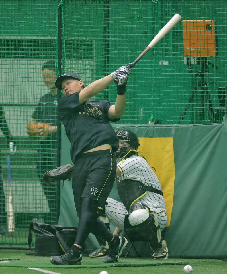 打撃練習に取り組む森下（撮影・西田忠信）