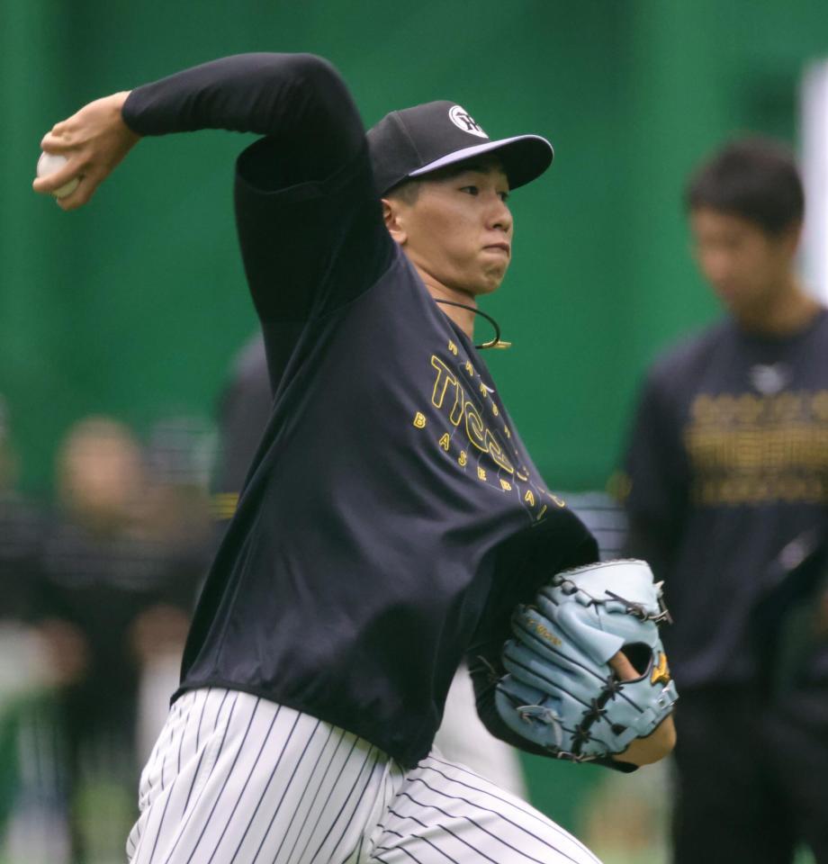 キャッチボールをする今朝丸（撮影・坂部計介）