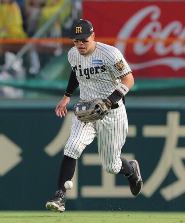４回、西川の打球の処理にもたつく佐藤輝（撮影・西田忠信）