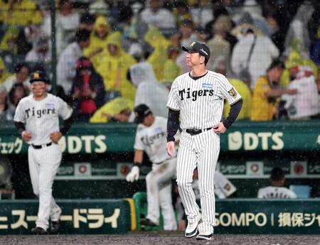 降り注ぐ雨の中、スタンドのファンにあいさつへ向かう佐藤輝ら（撮影・田中太一）
