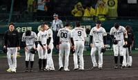 西武に連敗しファンに一礼する佐藤輝（右から２人目）ら阪神ナイン（撮影・山口登）