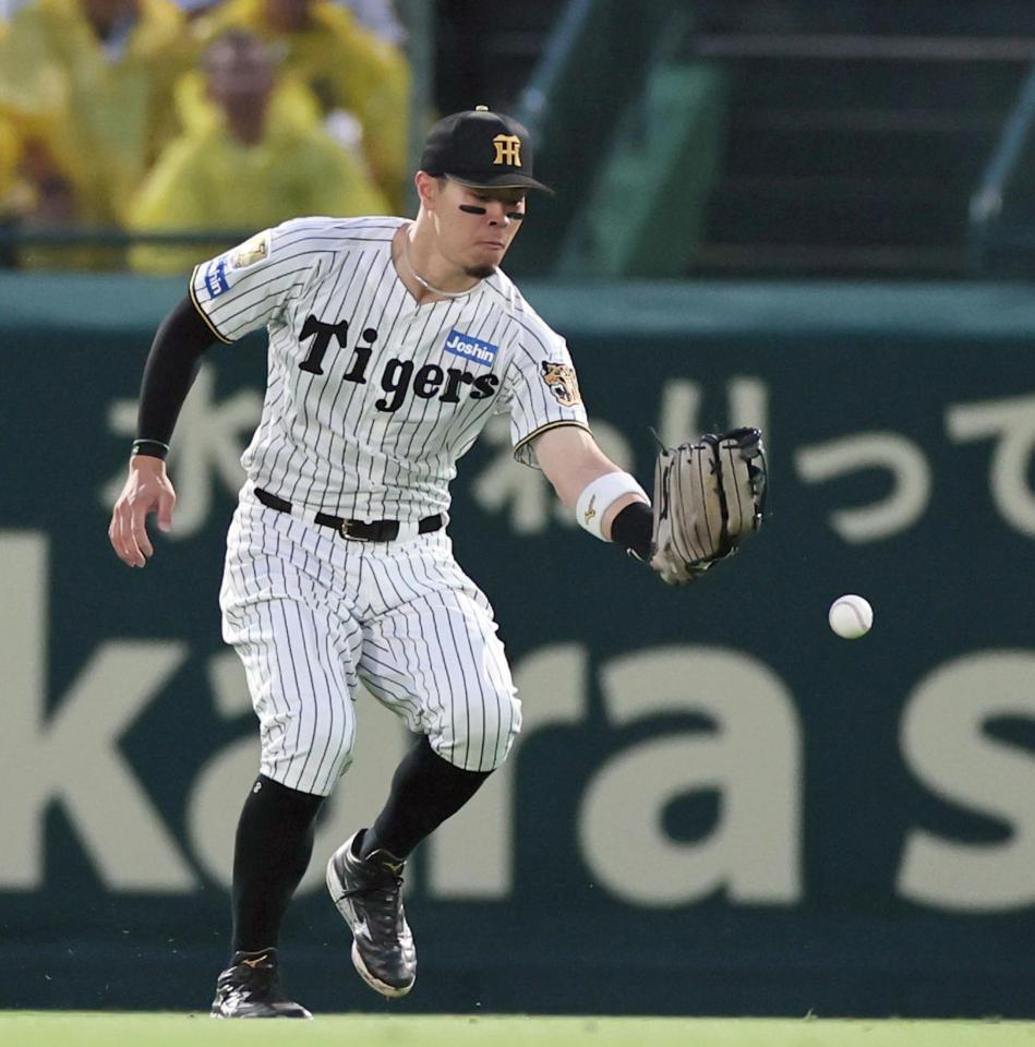 ４回、西川の打球をファンブルする佐藤輝（撮影・田中太一）