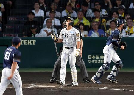 ３回、空振り三振に倒れる立石（投手・平良、捕手・小島）＝撮影・山口登