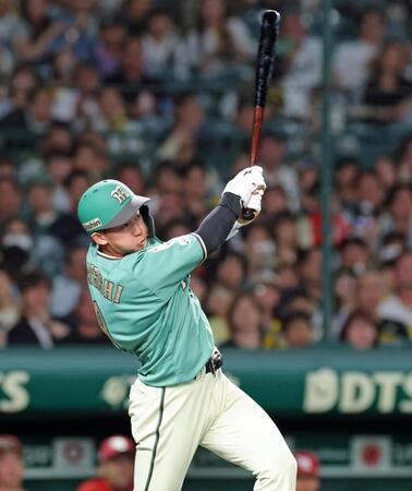 ６回、右前へ適時打を放つ立石（撮影・立川洋一郎）