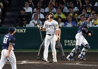 ３回、空振り三振に倒れる立石（投手・平良、捕手・小島）＝撮影・山口登