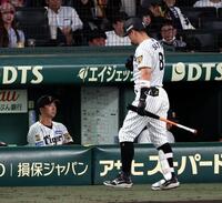 ４回、グラウンドを見つめる藤川監督（右は空振り三振に倒れベンチに戻る佐藤輝）＝撮影・山口登