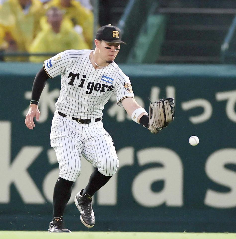 　４回、西川の打球をファンブルする佐藤輝（撮影・田中太一）