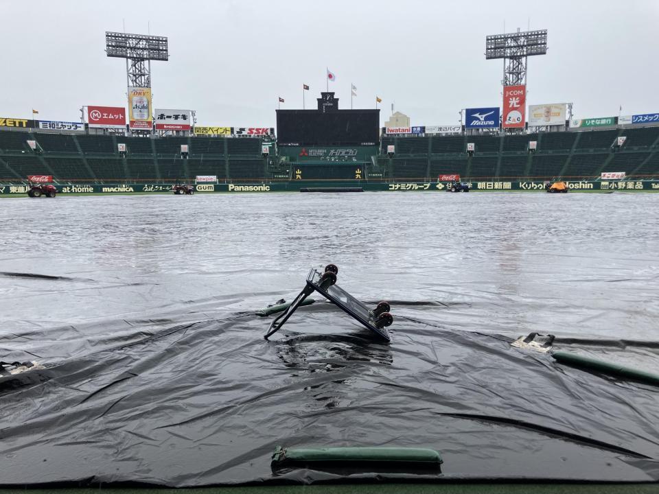 シートが張られている甲子園（撮影・西田忠信）