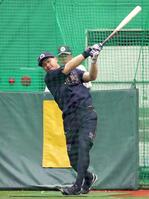 　打撃練習をする森下（撮影・立川洋一郎）